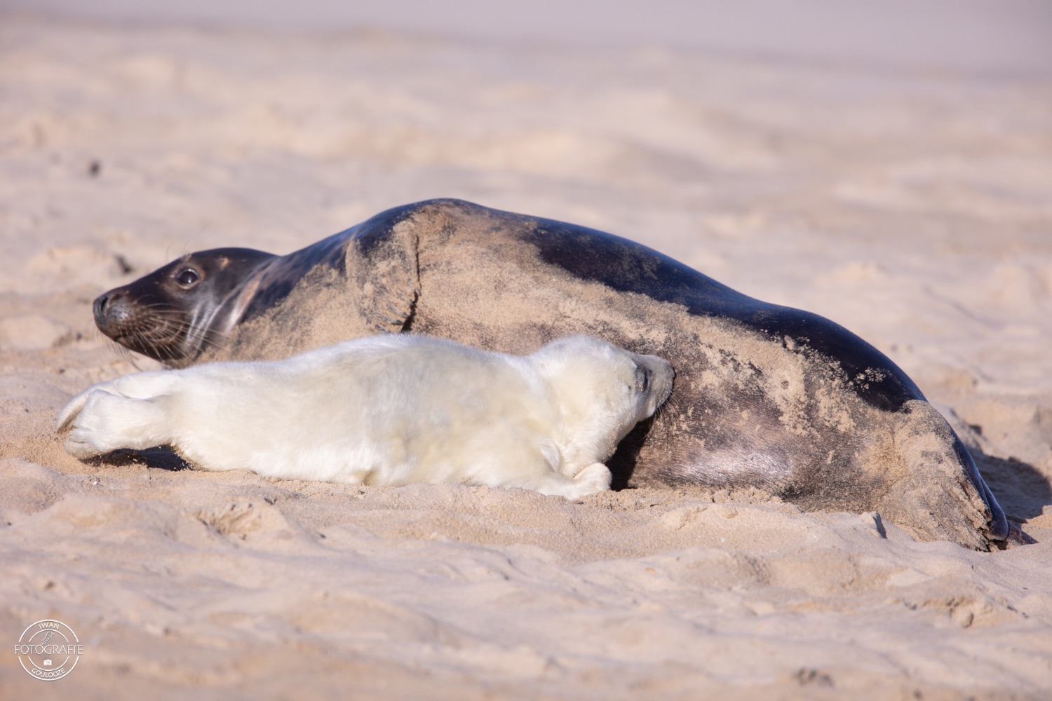 08 januari 2023 142738 1R2A1170 2